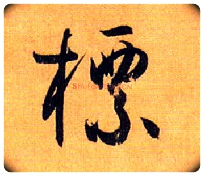 标毛笔草书写法,摘自唐孙过庭书谱