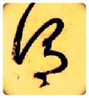 谓毛笔草书写法,摘自隋智永真草千字文