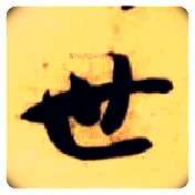 世毛笔草书写法,摘自隋智永真草千字文