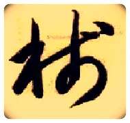 笺毛笔草书写法,摘自隋智永真草千字文