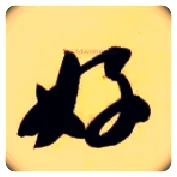 好毛笔草书写法,摘自隋智永真草千字文