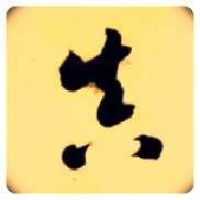 真毛笔草书写法,摘自隋智永真草千字文