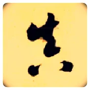 真毛笔草书写法,摘自隋智永真草千字文