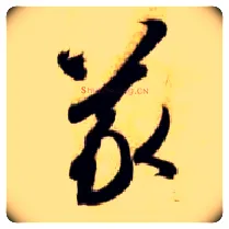 义毛笔草书写法,摘自隋智永真草千字文
