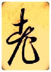 老毛笔草书写法,摘自隋智永真草千字文