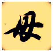 母毛笔草书写法,摘自隋智永真草千字文