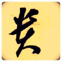 贵毛笔草书写法,摘自隋智永真草千字文