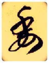 委毛笔草书写法,摘自隋智永真草千字文