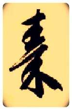秦毛笔草书写法,摘自隋智永真草千字文