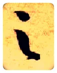 之毛笔草书写法,摘自隋智永真草千字文