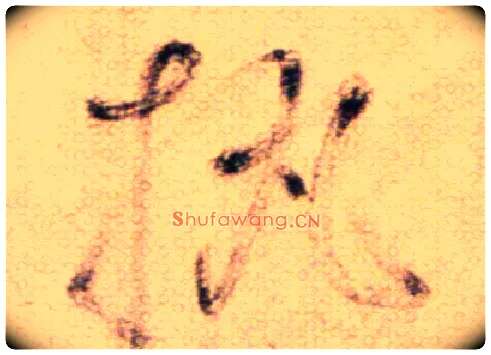 執毛笔草书写法,摘自鲜于枢草书杜甫魏将军歌诗