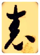 表毛笔草书写法,摘自隋智永真草千字文