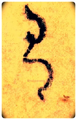有毛笔草书写法,摘自唐怀素自叙帖