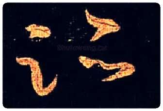 迹毛笔草书写法,摘自唐怀素大草千字文