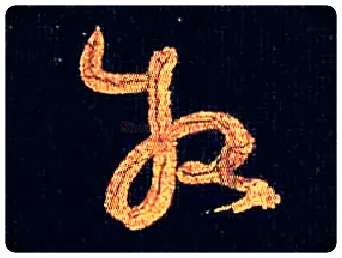 牧毛笔草书写法,摘自唐怀素大草千字文