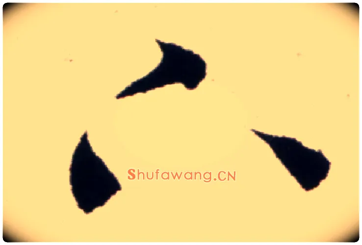 下毛笔草书写法,摘自宋米芾复官帖