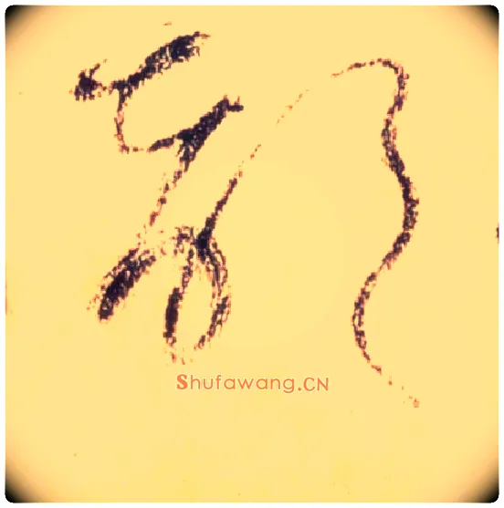 部毛笔草书写法,摘自唐怀素自叙帖