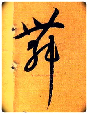 舞毛笔草书写法,摘自唐孙过庭书谱