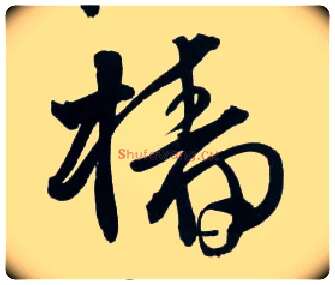 樯毛笔草书写法,摘自明王铎草书诗卷