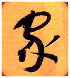 家毛笔草书写法,摘自唐孙过庭书谱