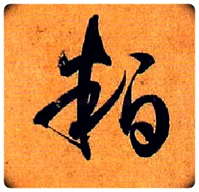 粕毛笔草书写法,摘自唐孙过庭书谱