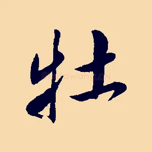 牡