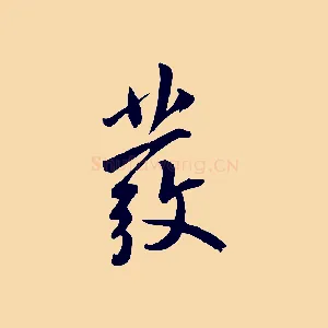 發