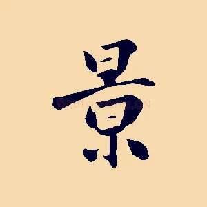 景