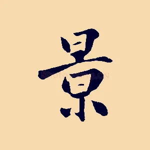景