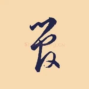 管