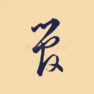 管
