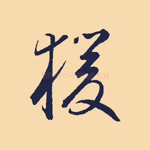 猿