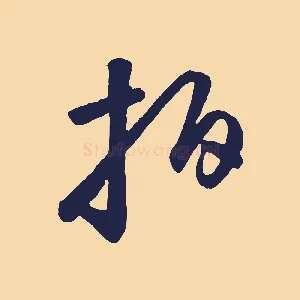 拍