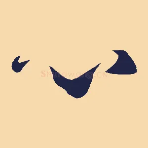 心