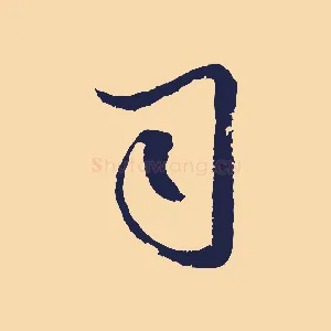 司