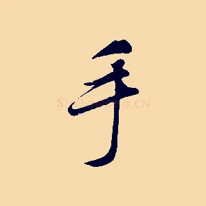 手
