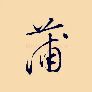 蒲