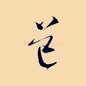 道
