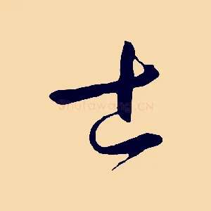 士