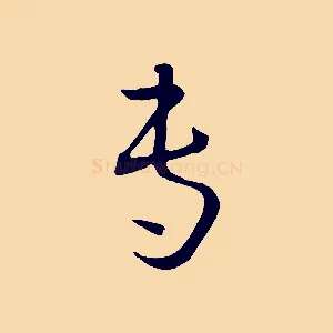 專