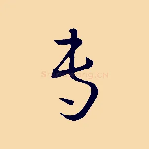 專