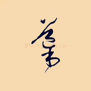 導