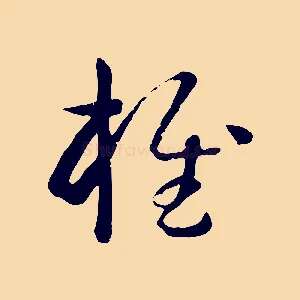 椎