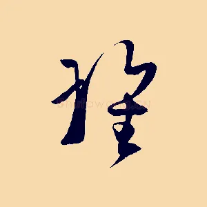 瑰