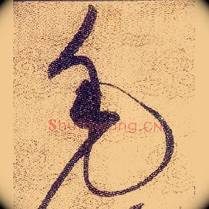 毛