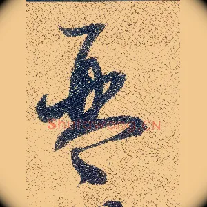 琴