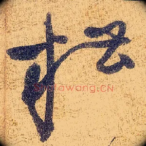糟