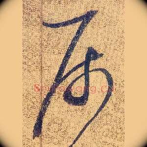 屬