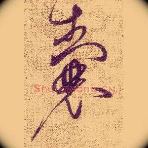 囊