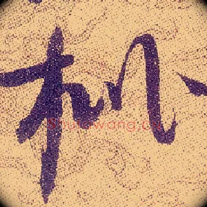 枇